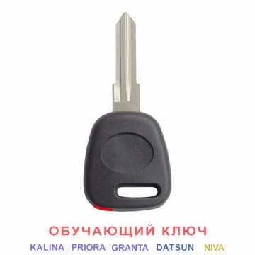 Обучающий чип-ключ