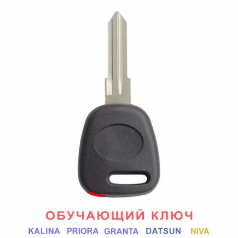 Обучающий чип-ключ